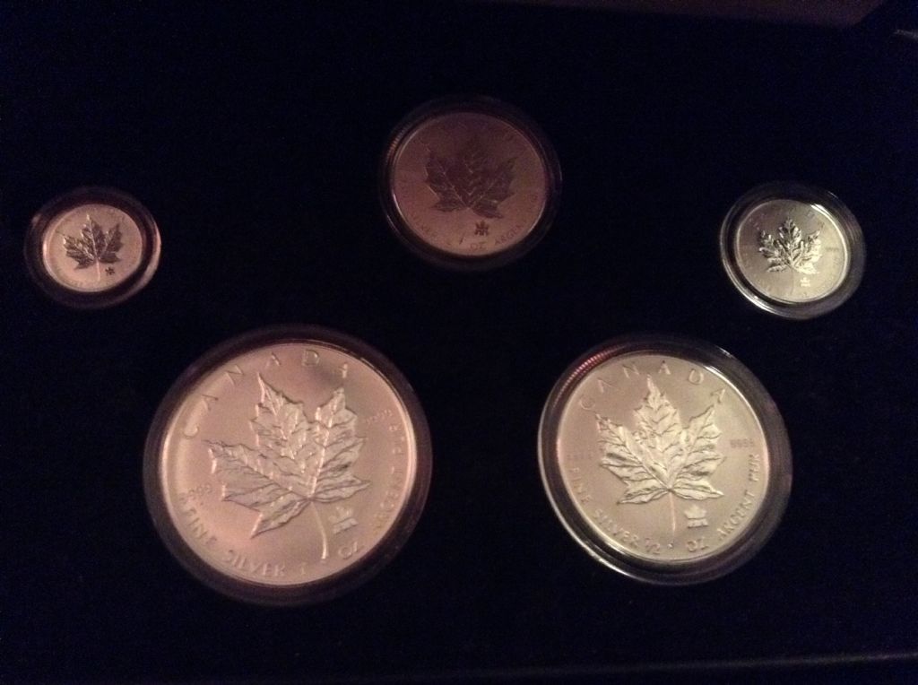 1984 Royal Canadian Mint Dollar