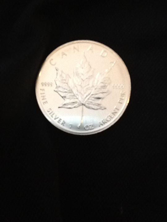 Canadian Maple Dollar  coin collectible - Main Image 2