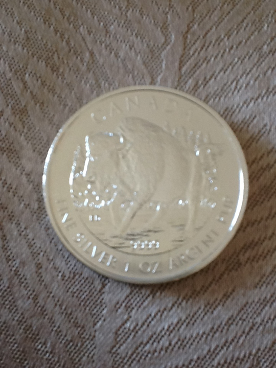 Canadian Buffalo Dollar  coin collectible - Main Image 2