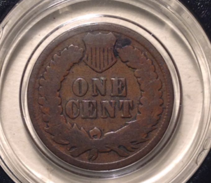 Indian Head Cent 1905  coin collectible - Main Image 2