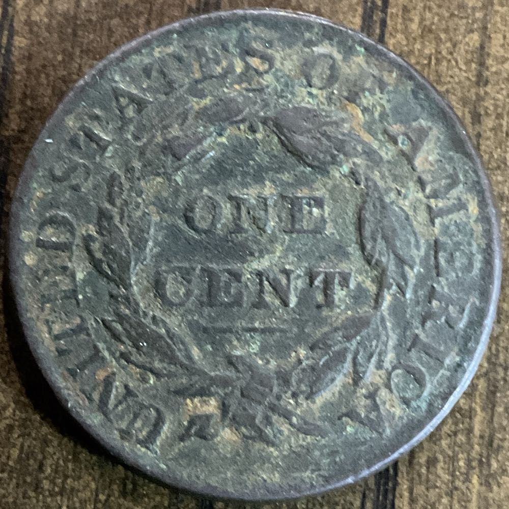 Large Cent Matron Head  coin collectible - Main Image 2