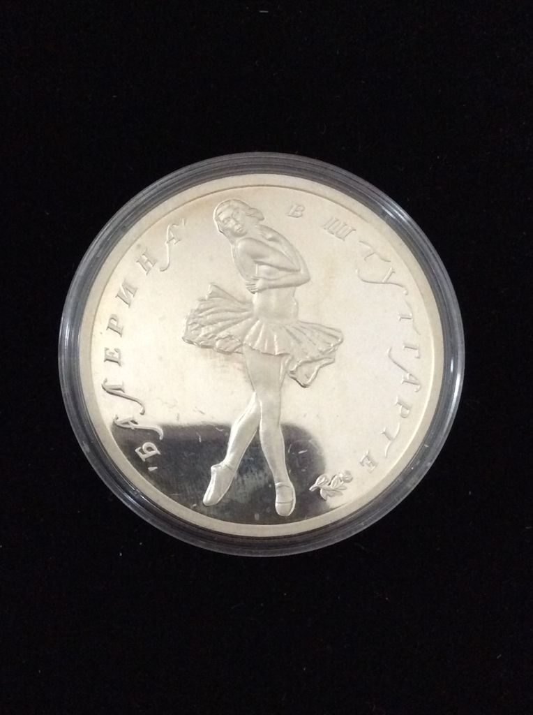 Panda Silver Coin