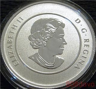 $20 commemorative coin Polar Bear 2012  coin collectible - Main Image 2