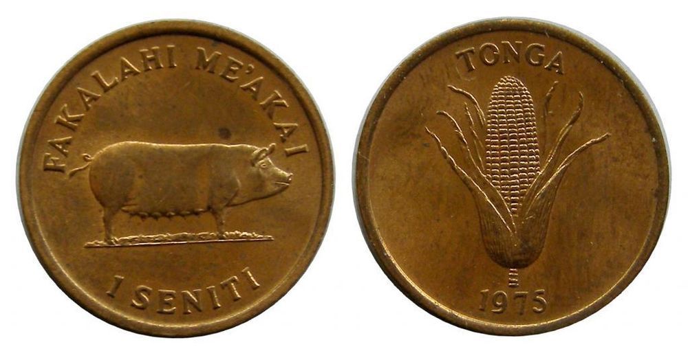 Indian Penny