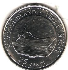 Bush Babies Sugar Glider