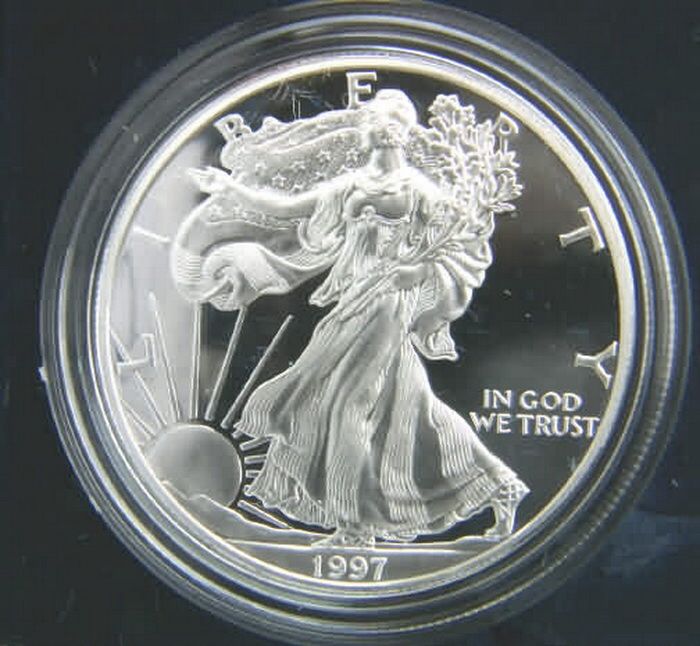 American Silver Eagle  coin collectible - Main Image 2