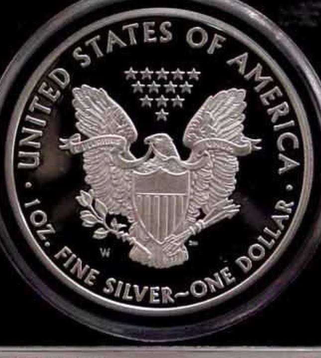 1999 American Silver Eagle (2)  coin collectible - Main Image 2