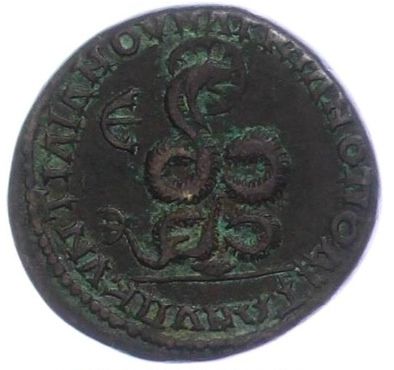 Caracalla & Iulia Domna Provinz  coin collectible - Main Image 2