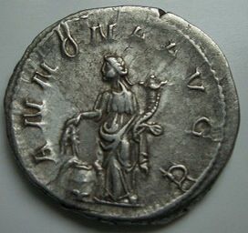 Philippus Arabs Denar  coin collectible - Main Image 2
