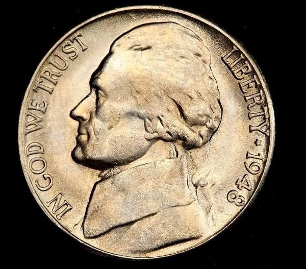 Bush Babies The Billy