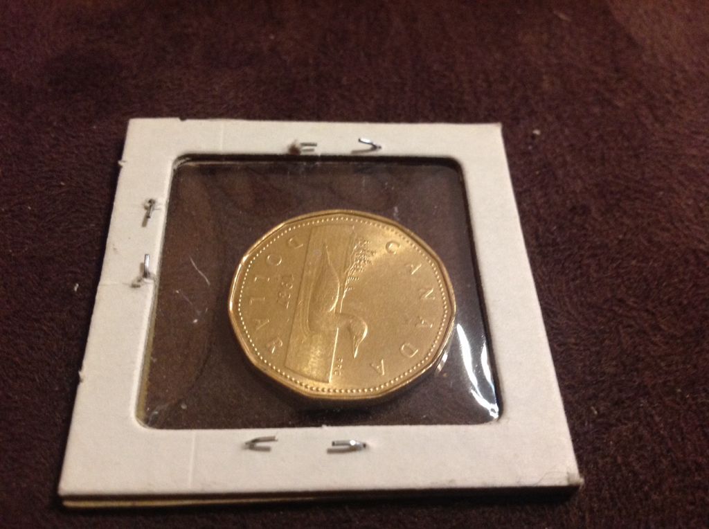 Dollar  coin collectible - Main Image 2