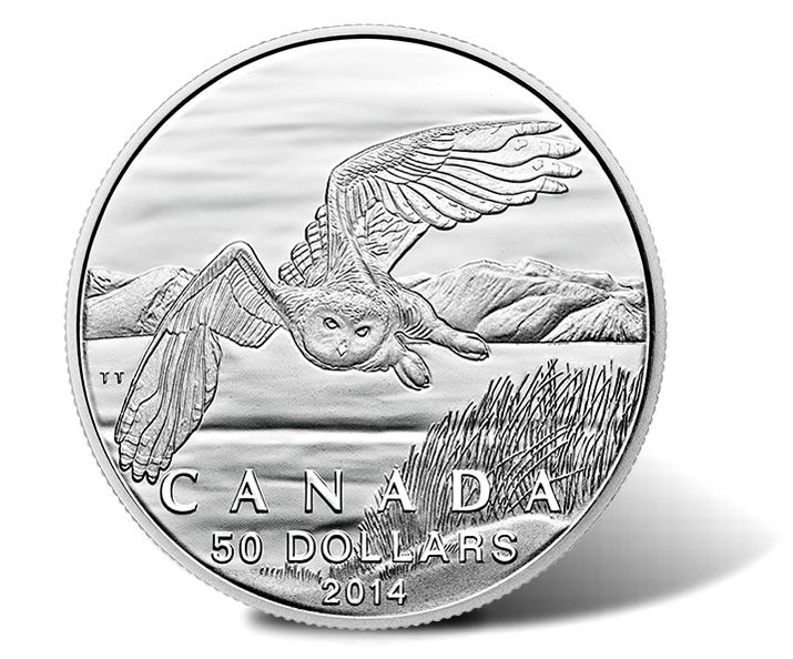 Snowy Owl  coin collectible - Main Image 2