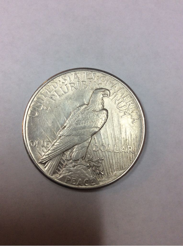 Peace Silver Dollar 1921  coin collectible - Main Image 2