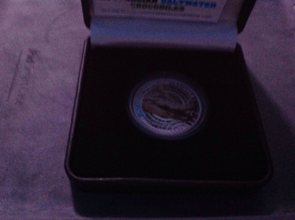 Britannia - S S Gairsoppa (Special Edition)