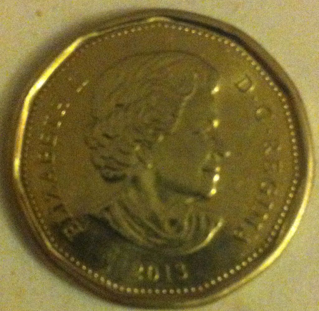 2013 Loonie  coin collectible - Main Image 2