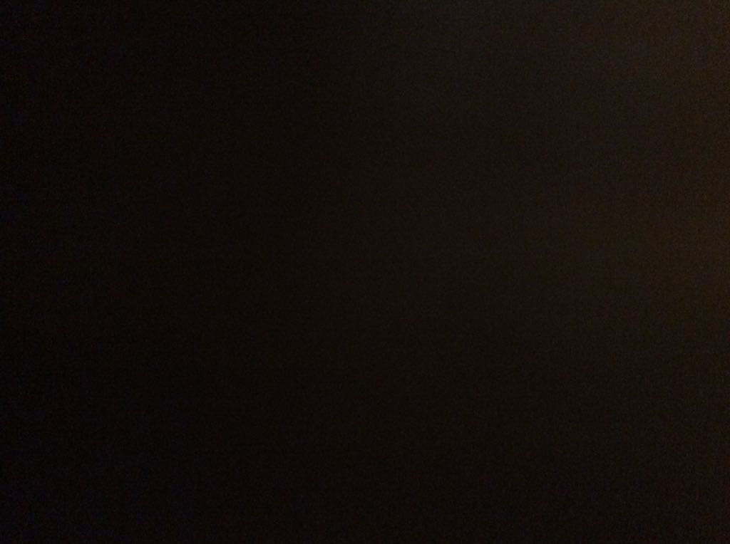 $20 Silver Canada Goose  coin collectible - Main Image 2