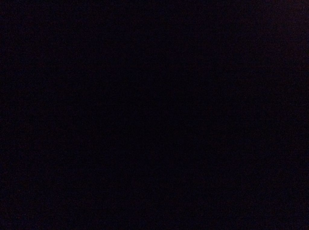 Caterpillar and Chrysalis  coin collectible - Main Image 2