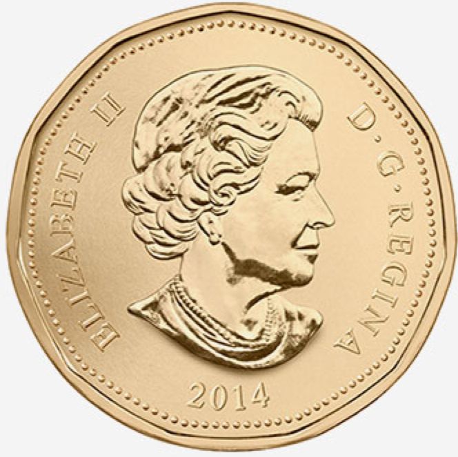 Loonie  coin collectible - Main Image 2