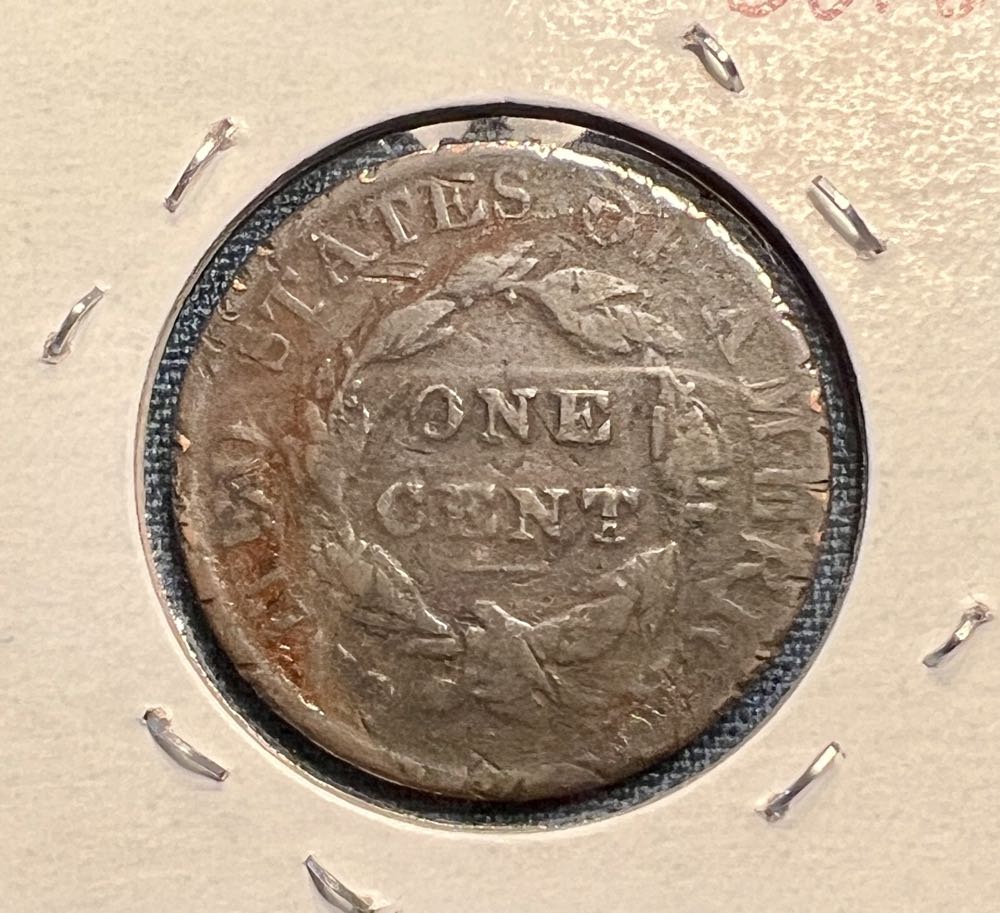 Liberty Head Large Cent  coin collectible - Main Image 4