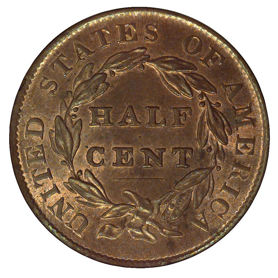 Classic Head Half Cent  coin collectible - Main Image 2