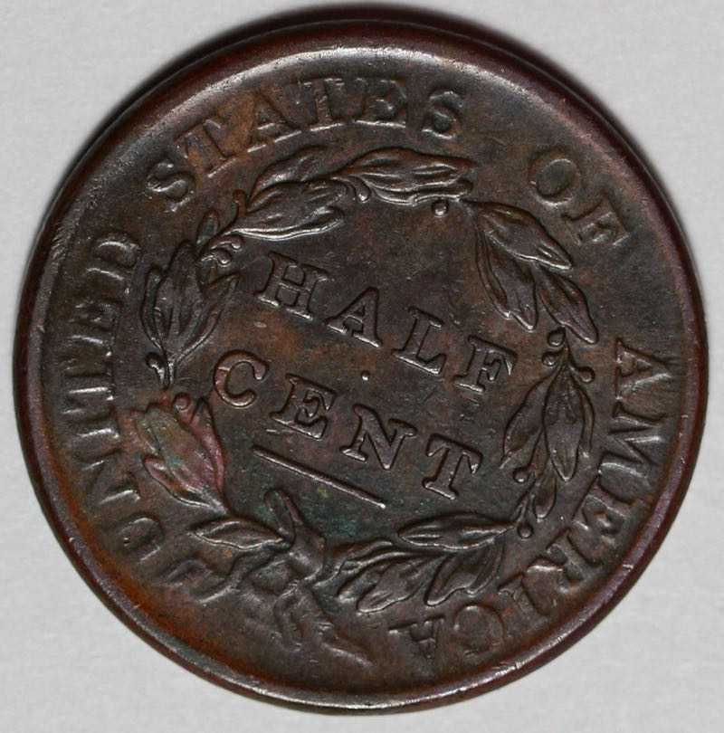 Classic Head Half Cent  coin collectible - Main Image 4