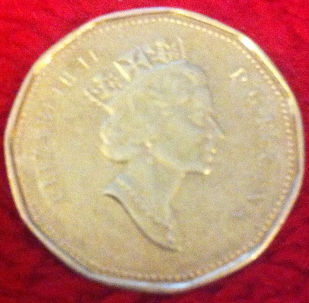 Loonie  coin collectible - Main Image 2