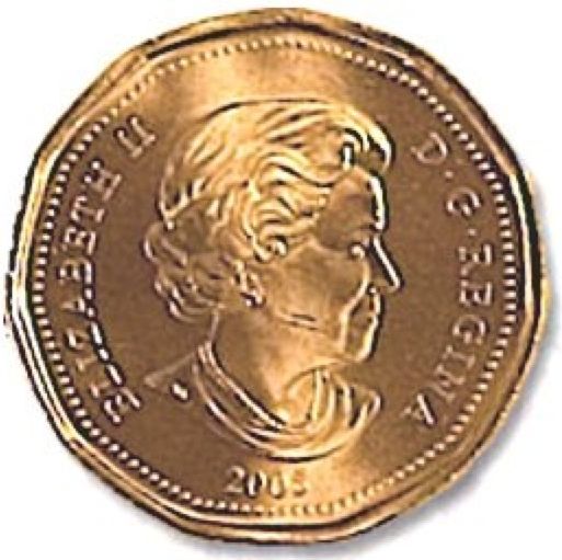 Terry Fox 1959-1981 Loonie  coin collectible - Main Image 2