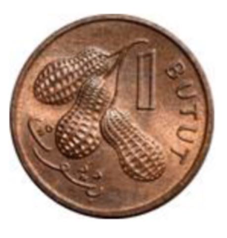 1 butut Gambia  coin collectible - Main Image 2