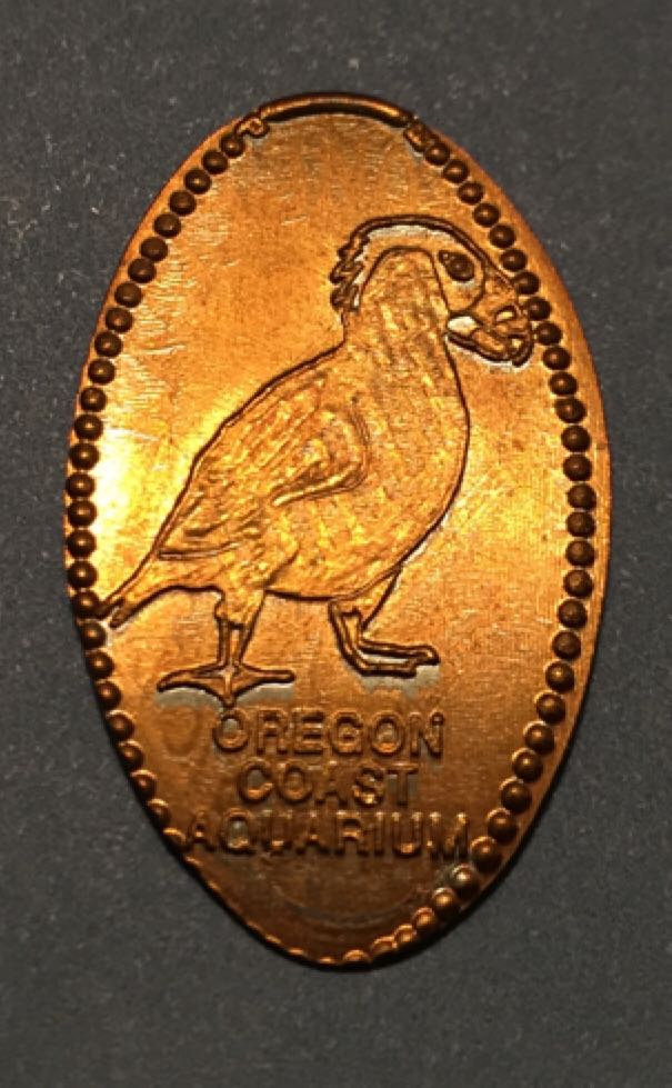 OCA / Puffin  coin collectible - Main Image 1