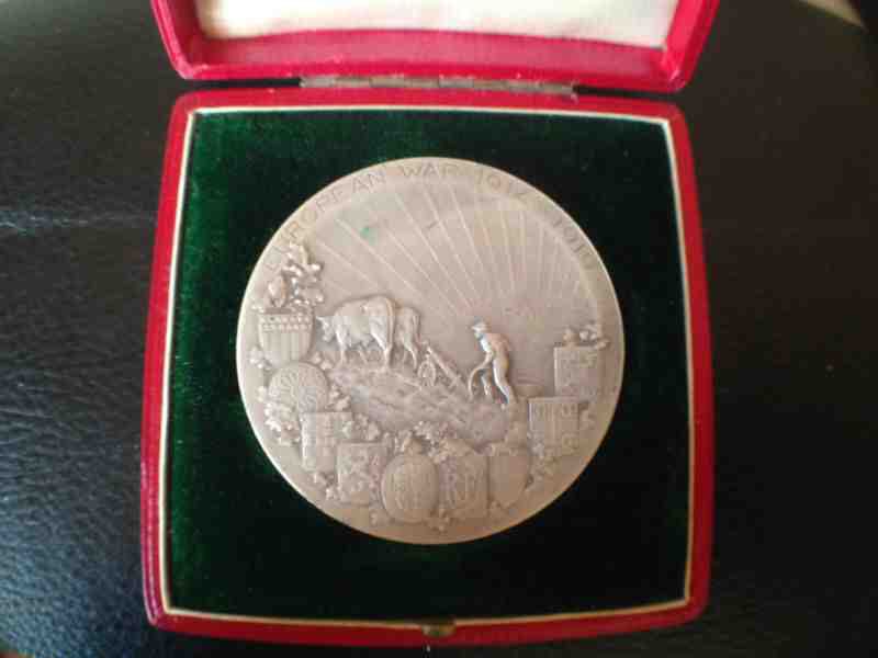 European War 1914 - 1919 (WWI Peace Medal)  coin collectible - Main Image 2