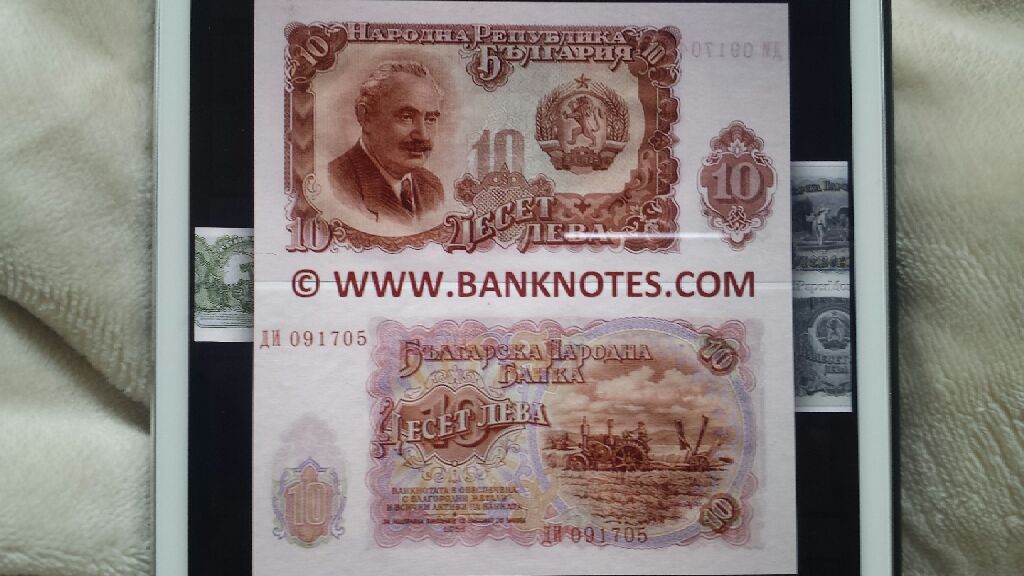 WA - Olympic National Forest