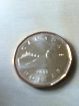 USA 50 Cent Half Dollar