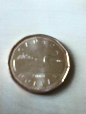 Loonie - Montreal Canadiens 2009