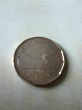 Loonie  coin collectible - Main Image 1