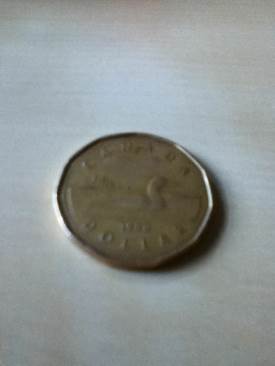 American Silver Eagle 2008