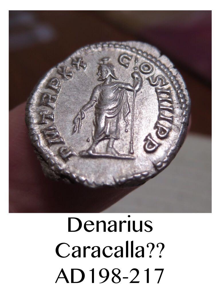 Denarius of Caracalla  coin collectible - Main Image 2