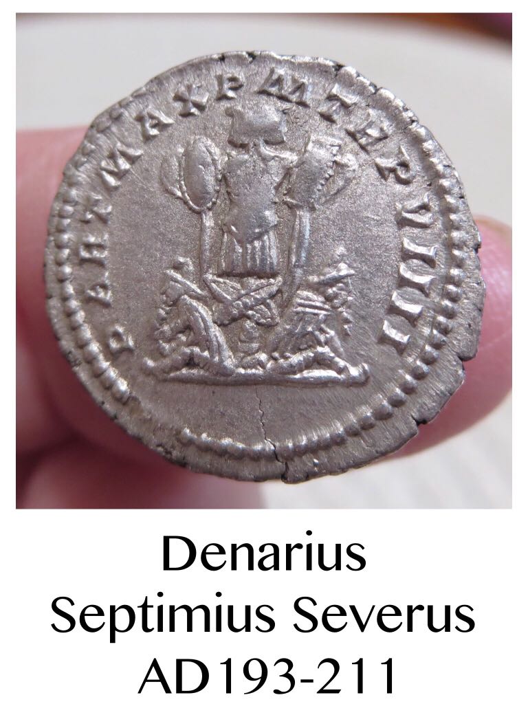 Denarius of Septimius Severus  coin collectible - Main Image 2