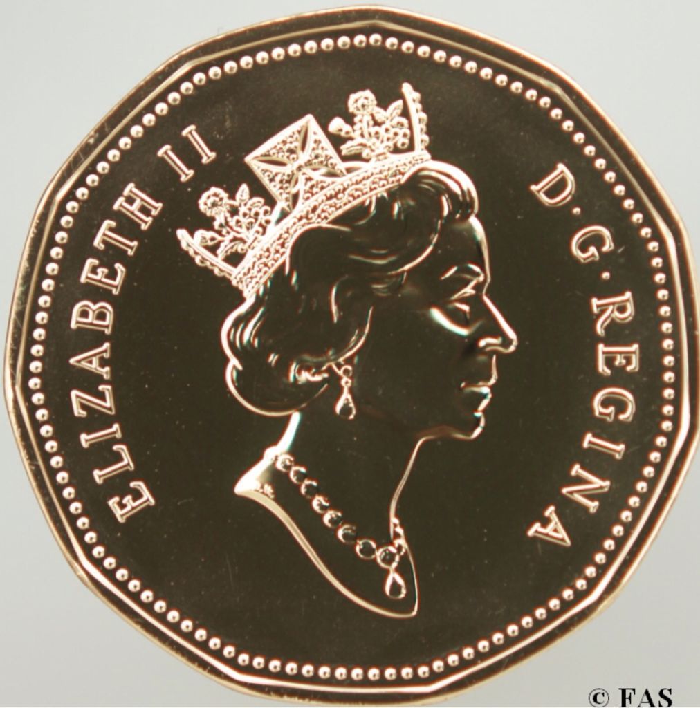 Loonie  coin collectible - Main Image 2