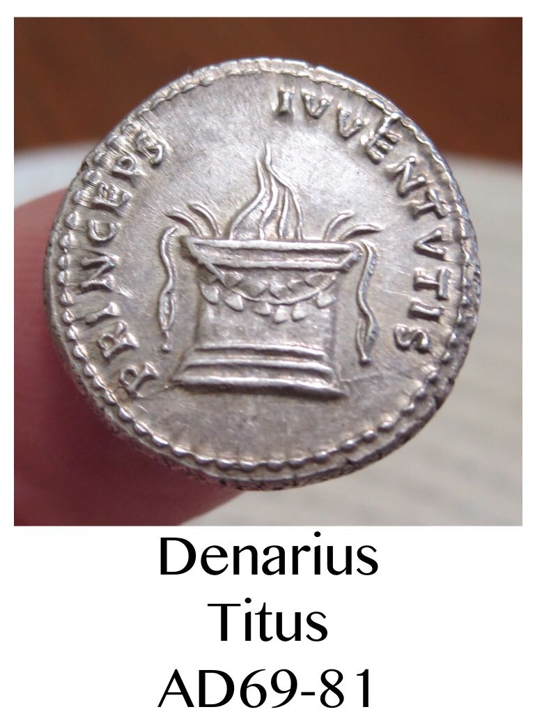 Denarius of Titus Reign. Head Of Domitian  coin collectible - Main Image 2