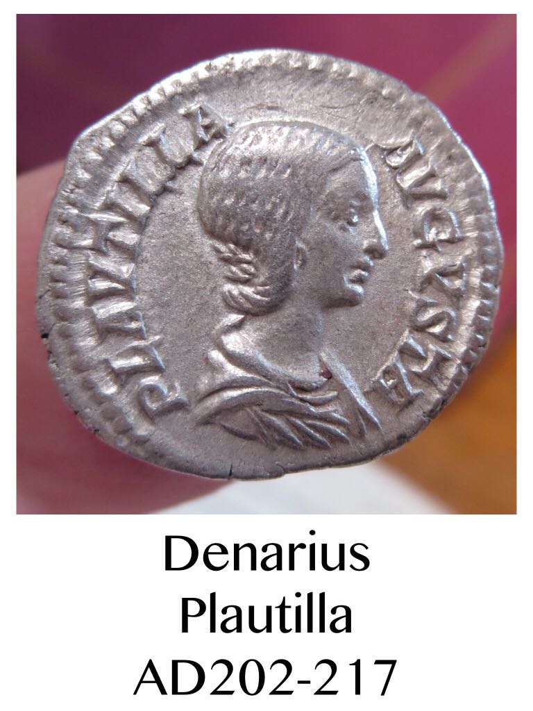 Le Fascinant Pygargue Â Tête Blanche