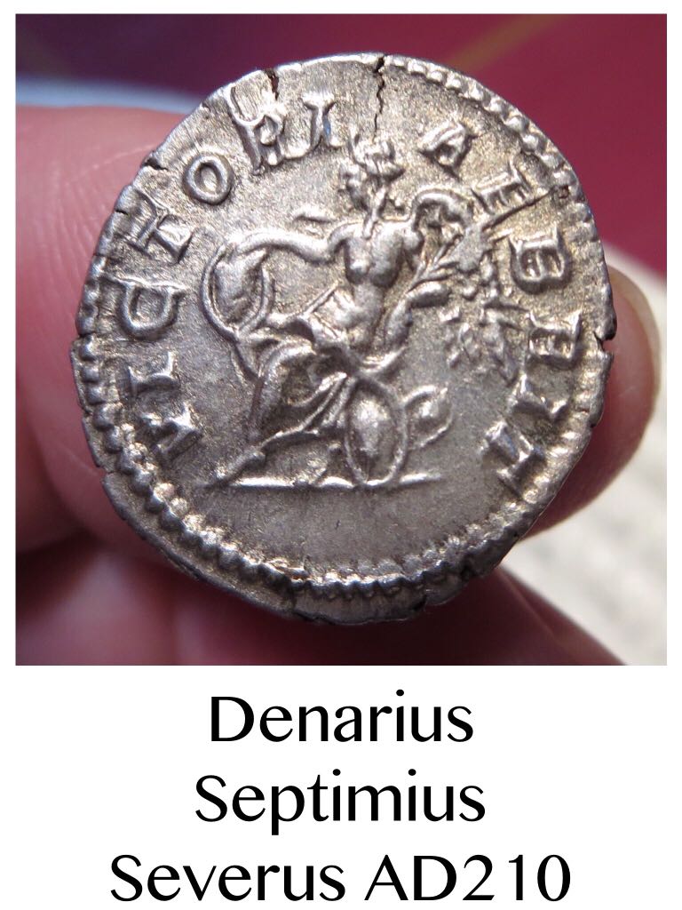 Denarius of Septimius Severus  coin collectible - Main Image 2