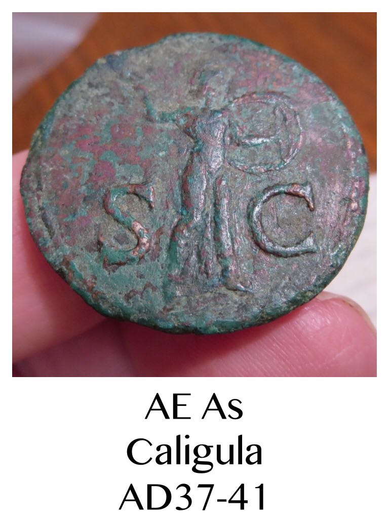 AE As of Caligula  coin collectible - Main Image 2