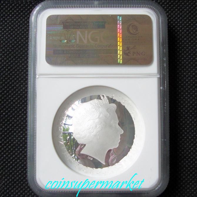 Southren Crux PF 70  coin collectible - Main Image 2