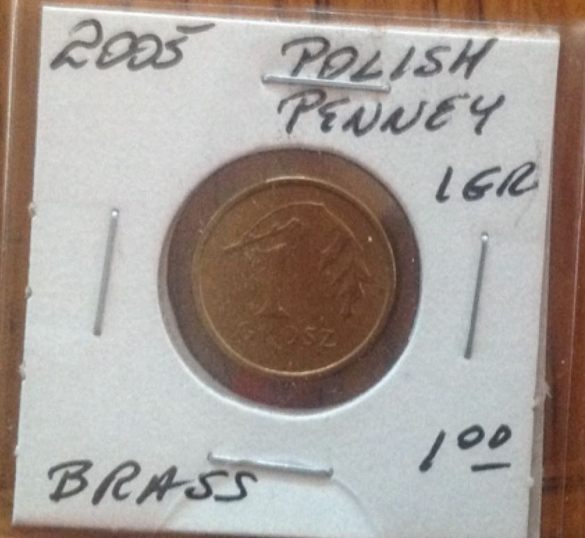 Série Conservation De La Faune L’effraie Des Clochers