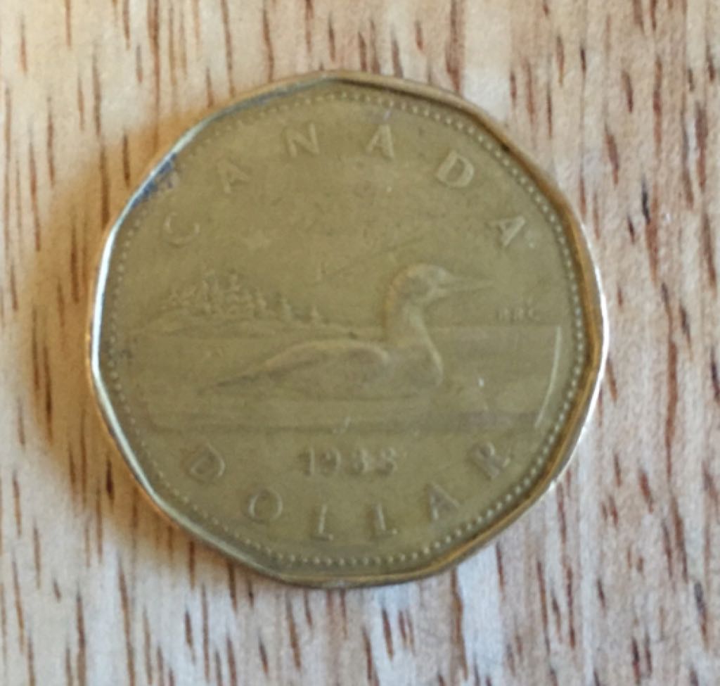 $1 Canadian Coin  coin collectible - Main Image 2