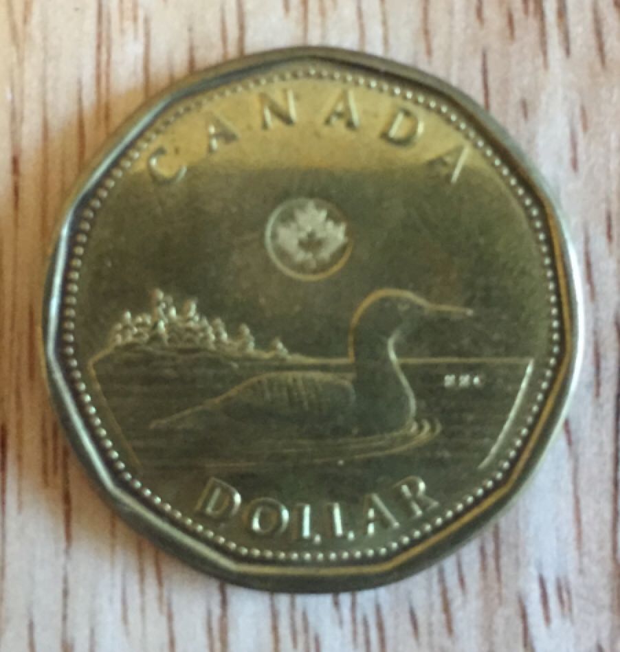 $1 Canadian Coin  coin collectible - Main Image 2