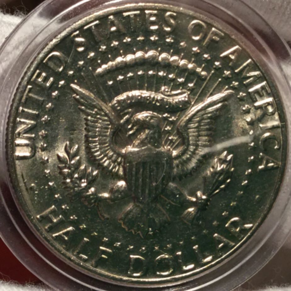 Kennedy Half Dollar 1981P  coin collectible - Main Image 2