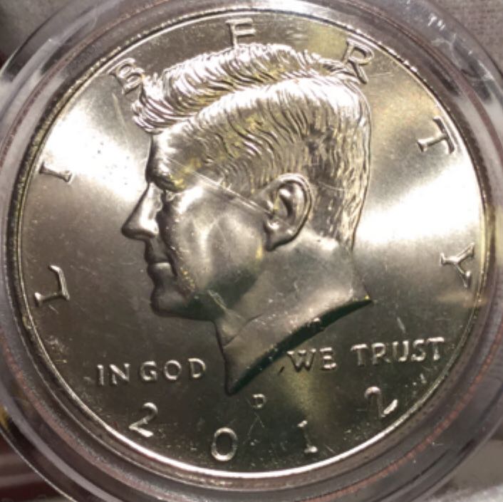 Pygargue À Tête Blanche 2015