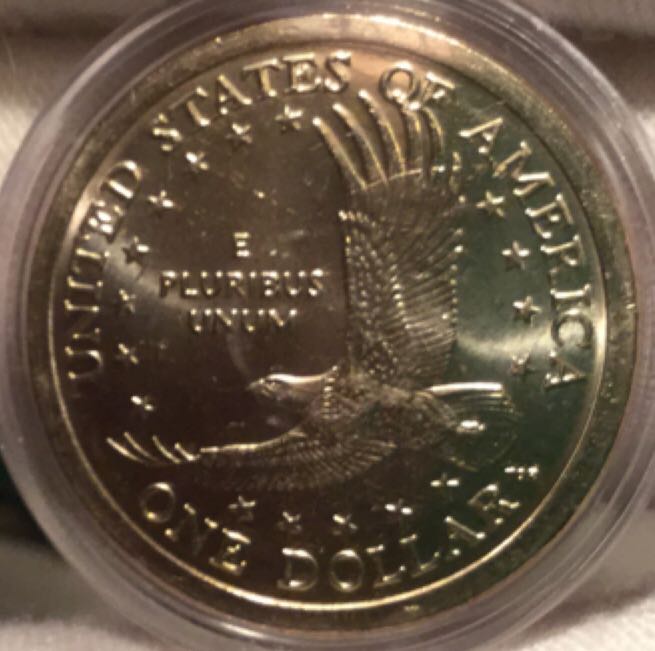 Sacagawea Dollars Complete Collection 2007  coin collectible - Main Image 2