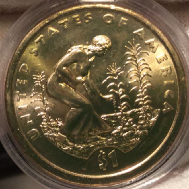 Sacagawea Dollars Complete Collection 2009 P  coin collectible - Main Image 2